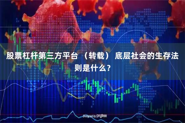 股票杠杆第三方平台 （转载） 底层社会的生存法则是什么？
