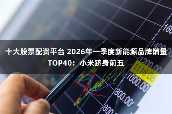 十大股票配资平台 2026年一季度新能源品牌销量TOP40：小米跻身前五